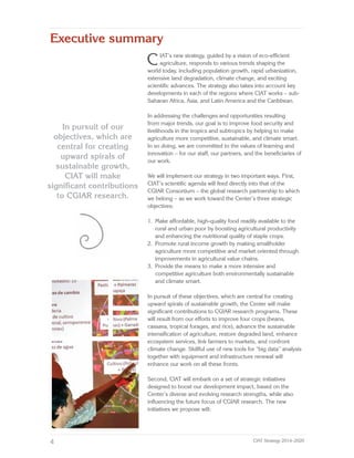 CIAT Strategy 2014–2020: Building Future an Eco-Efficient
