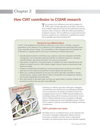 CIAT Strategy 2014–2020 