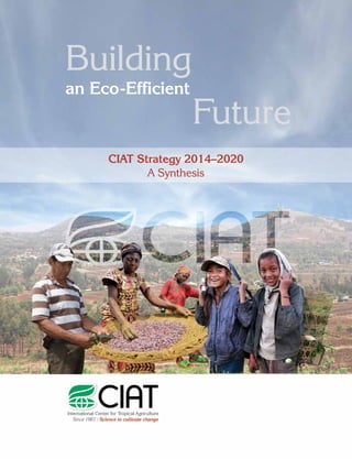 1
Building
an Eco-Efficient
Future
CIAT Strategy 2014–2020
A Synthesis
 