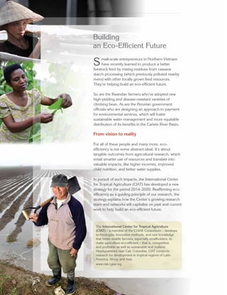 CIAT Strategy 2014–2020 A Synthesis