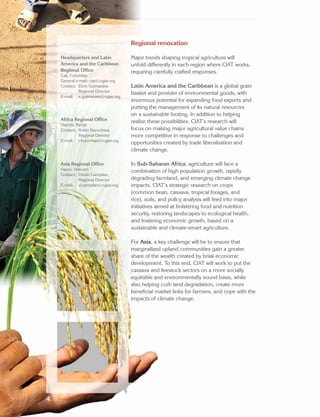 CIAT Strategy 2014–2020 A Synthesis