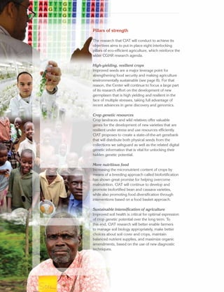 CIAT Strategy 2014–2020 A Synthesis