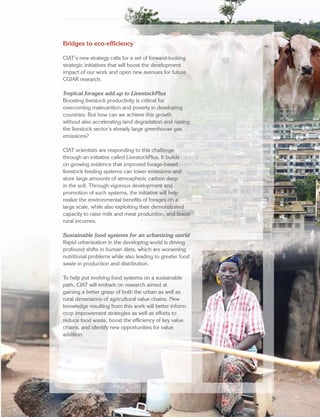 CIAT Strategy 2014–2020 A Synthesis