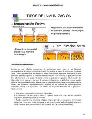 CONCEPTOS EN INMUNOLOGÍA BÁSICA
101
GAMMAGLOBULINAS INMUNES
Consiste en una solución concentrada de anticuerpos, sobre todo de los llamados
gammaglobulina G o inmunoglobulina G (IgG). Se obtiene a partir de plasma de donantes
sanos. Tras su administración intramuscular, deben transcurrir al menos 48 horas antes de que
los niveles de anticuerpos en el suero alcancen su máximo valor. Por ello, la globulina inmune
debe administrarse en el plazo más corto posible después de la exposición a la infección. Su
vida media en el plasma es de unas 3 semanas. Indicaciones. La globulina inmune puede
utilizarse como profilaxis frente a la hepatitis A, el sarampión, el déficit de inmunoglobulinas, la
varicela (en pacientes inmunodeprimidos, cuando no se dispone de inmunoglobulina
antivaricela-zóster) y la exposición a la rubéola en el primer trimestre de la gestación.
Inconvenientes:
✓ Sólo proporciona un efecto protector transitorio.
✓ El contenido de anticuerpos frente a agentes específicos varía en los distintos
preparados. La administración es dolorosa.
✓ Puede ocasionar una anafilaxia (choque alérgico grave) por inoculación intravenosa
inadvertida y muy raras veces, como ocurre con otros hemoderivados, la globulina inmune
puede contener virus transmisibles (p. ej., hepatitis B ó C, o el virus VIH del SIDA).
 