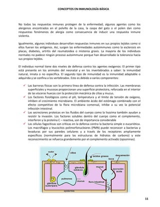 CONCEPTOS EN INMUNOLOGÍA BÁSICA
11
No todas las respuestas inmunes protegen de la enfermedad; algunos agentes como los
alergenos encontrados en el polvillo de la casa, la caspa del gato o el polen dan como
respuestas fenómenos de alergia como consecuencia de inducir una respuesta inmune
violenta.
Igualmente, algunos individuos desarrollan respuestas inmunes en sus propios tejidos como si
ellos fueran los antígenos. Así, surgen las enfermedades autoimmunes como la esclerosis en
placas, diabetes, artritis del reumatoidea o mistenia gravis. La mayoría de los individuos
normales no padece ningún proceso autoimmune porque han desarrollado la tolerancia hacia
sus propios tejidos.
El individuo normal tiene dos niveles de defensa contra los agentes exógenos: El primer tipo
está presente en los animales del neonatal y en los invertebrados a saber: la inmunidad
natural, innata o no específica. El segundo tipo de inmunidad es la inmunidad adaptable o
adquirida y se confina a los vertebrados. Esto es debido a varios componentes:
✓ Las barreras físicas son la primera línea de defensa contra la infección. Las membranas
superficiales y mucosas proporcionan una superficie protectora, reforzada en el interior
de las vísceras huecas con la protección mecánica de cilias y mucus.
✓ Los factores fisiológicos como el pH, temperatura y el límite de tensión de oxígeno,
inhiben el crecimiento microbiano. El ambiente ácido del estómago combinado con el
efecto competitivo de la flora microbiana comensal, inhibe a su vez la potencial
infección intestinal.
✓ Las secreciones proteicas en los fluidos del cuerpo como la lisozima también ayudan a
resistir la invasión. Los factores solubles dentro del cuerpo como el complemento,
interferon y la proteína C – reactiva, son de importancia considerable
✓ Las células fagocíticas son críticas en la defensa contra la bacteria simple o eucariótica.
Los macrófagos y leucocitos polimorfonucleares (PMN) puede reconocer a bacterias y
levaduras por sus paredes celulares y a través de los receptores ampliamente
específicos (normalmente para las estructuras de hidratos de carbono) y este
reconocimiento se refuerza grandemente por el complemento activado (opsoninas).
 