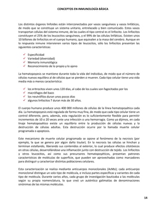 CONCEPTOS EN INMUNOLOGÍA BÁSICA
14
Los distintos órganos linfoides están interconectados por vasos sanguíneos y vasos linfáticos,
de modo que se constituye un sistema unitario, entrelazado y bien comunicado. Estos vasos
transportan células del sistema inmune, de las cuales el tipo central es el linfocito. Los linfocitos
constituyen el 25% de los leucocitos sanguíneos, y el 99% de las células linfáticas. Existen unos
10 billones de linfocitos en el cuerpo humano, que equivalen a la masa del cerebro. Aunque en
la respuesta inmune intervienen varios tipos de leucocitos, sólo los linfocitos presentan las
siguientes características:
✓ Especificidad
✓ Variedad (diversidad)
✓ Memoria inmunológica
✓ Reconocimiento de lo propio y lo ajeno
La hematopoyesis se mantiene durante toda la vida del individuo, de modo que el número de
células nuevas equilibra al de células que se pierden o mueren. Cada tipo celular tiene una vida
media más o menos característica:
✓ los eritrocitos viven unos 120 días, al cabo de los cuales son fagocitados por los
✓ macrófagos del bazo
✓ los neutrófilos duran unos pocos días
✓ algunos linfocitos T duran más de 30 años.
El cuerpo humano produce unos 400 000 millones de células de la línea hematopoyética cada
día. La hematopoyesis está regulada de forma muy fina, de modo que cada tipo celular tiene un
control diferente, pero, además, esta regulación es lo suficientemente flexible para permitir
incrementos de 10 o 20 veces ante una infección o una hemorragia. Como ya dijimos, en cada
linaje hematopoyético existe un equilibrio entre la producción de células nuevas y la
destrucción de células adultas. Esta destrucción ocurre por la llamada muerte celular
programada o apoptosis.
Este mecanismo de muerte celular programada se opone al fenómeno de la necrosis (por
ejemplo, la que se genera por algún daño tisular). En la necrosis las células se hinchan y
terminan estallando, liberando sus contenidos al exterior, lo cual produce efectos citotóxicos
en otras células, desarrollándose una inflamación junto con destrucción de tejido. Los linfocitos
y otros leucocitos, así como sus precursores hematopoyéticos, presentan patrones
característicos de moléculas de superficie, que pueden ser aprovechadas como marcadores
para distinguir y caracterizar distintas poblaciones celulares.
Esta caracterización se realiza mediante anticuerpos monoclonales (AcMo); cada anticuerpo
monoclonal distingue un solo tipo de molécula, e incluso partes específicas y variantes de cada
tipo de molécula. Durante varios años, cada grupo de investigación bautizaba a las moléculas
según su propia nomenclatura, lo que creó un auténtico galimatías de denominaciones
sinónimas de las mismas moléculas.
 