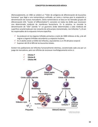 CONCEPTOS EN INMUNOLOGÍA BÁSICA
15
Afortunadamente, en 1982 se celebró un "Taller de antígenos de diferenciación de leucocitos
humanos" que llegó a una nomenclatura unificada, así como a normas para la aceptación y
denominación de nuevos marcadores. Dicha nomenclatura se basa en los llamados grupos de
diferenciación (CD, "cluster of differentiation"): consisten en todos los AcMo que reconocen
una determinada molécula de membrana leucocitaria. En la práctica, se concede la
denominación de "CDx" (siendo "x" un guarismo árabe determinado) a cada molécula de
superficie caracterizada por ese conjunto de anticuerpos monoclonales. Los linfocitos T y B son
los responsables de la respuesta inmune específica.
✓ Se producen en los órganos linfoides primarios a razón de 1000 millones al día, y de allí
migran a órganos linfoides secundarios y a espacios tisulares.
✓ En el adulto existe un billón de linfocitos, equivalentes a un 2% del peso corporal.
✓ Suponen del 20 al 40% de los leucocitos totales.
Existen tres poblaciones de linfocitos funcionalmente distintas, caracterizada cada una por un
juego de marcadores, pero son difíciles de reconocer morfológicamente entre sí:
✓ Células T
✓ Células B
✓ Células NK
 