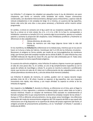 CONCEPTOS EN INMUNOLOGÍA BÁSICA
16
Los linfocitos T y B vírgenes (no cebados) son pequeños (unas 6 mµ de diámetro), con poco
citoplasma, que forma un estrecho anillo alrededor del núcleo. Poseen cromosomas
condensados, con abundante heterocromatina; albergan pocas mitocondrias, y apenas nada de
retículo endoplásmico ni de complejo de Golgi. En sí mismos, en ausencia del Ag específico,
tienen vida corta (de unos días a unas pocas semanas), y fácilmente sufren muerte celular
programada.
En cambio, si entran en contacto con el Ag a partir de sus receptores específicos, salen de la
fase G0 y entran en el ciclo celular (G0 à G1 -à S à G2 à M). En la fase G2 corresponden a
linfoblastos: aumentan su tamaño (15 m m), aumenta algo la eucromatina, aparece un nucleolo
patente y aumenta la proporción del citoplasma. Estos linfoblastos proliferan y finalmente se
diferencian en dos subpoblaciones:
✓ Células efectoras, de vida corta.
✓ Células de memoria con vida larga (algunas duran toda la vida del
individuo).
En los mamíferos, los linfocitos B se diferencian en la médula ósea, mientras que en las aves lo
hacen en la bursa o bolsa de Fabricio. Constituyen del 5 al 15% de los linfocitos circulantes.
Reconocen al antígeno en forma soluble, por medio de sus inmunoglobulinas de membrana
(mIg), que forman parte del complejo receptor de las células B (BCR). En cada linfocito hay unas
150.000 moléculas de mIg (de las clases M y D), que han sido sintetizadas por él. Todas estas
moléculas poseen la misma especificidad antigénica.
En ausencia de estímulo antigénico, estos linfocitos B maduros vírgenes mueren por apoptosis
al cabo de unos pocos días. Si, en cambio, se une al Ag complementario específico (y con la
ayuda de señales de macrófagos y células T), se pone en marcha la selección y proliferación
clonal, que termina (al cabo de 4-5 días) con la diferenciación de dos subpoblaciones: una de
células plasmáticas secretoras de Ac, y otra de células B de memoria (cebadas).
Los linfocitos B cebados de memoria, en cambio, pueden vivir en reposo durante largos
períodos (más de 20 o 30 años). Cuando se exponen al Ag específico, dan una respuesta
inmunitaria más rápida, más intensa, y con mayor afinidad. Su aspecto es similar al de los
linfocitos B vírgenes.
Con respecto a los linfocitos T, durante la infancia, se diferencian en el timo, pero al llegar la
adolescencia, el timo regresiona, y entonces la diferenciación ocurre sobre todo en la piel y
mucosa intestinal. Poseen un receptor de membrana (TCR) asociado no covalentemente al
llamado complejo CD3, lo que conjuntamente se denomina complejo receptor de las células T.
Aunque el TCR es diferente estructuralmente a las Ig, posee zonas homólogas. Una diferencia
importante del modo de reconocimiento antigénico del TCR respecto del BCR es que aquél sólo
interacciona con el Ag dispuesto en la superficie de células del propio organismo (de hecho, el
antígeno procede de procesamiento proteolítico, y le es "enseñado" al linfocito T asociado a
moléculas de MHC).
 