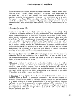 CONCEPTOS EN INMUNOLOGÍA BÁSICA
18
Ello lo realizan porque reconocen células propias enfermas en base a que éstas poseen menos
moléculas MHC-I. También pueden desarrollar citotoxicidad celular dependiente de
anticuerpos (ADCC). Por otro lado, tenemos a las células mieloides representadas por:
Fagocitos: leucocitos polimorfonucleares neutrófilos (PMN) y monocitos, que a su vez se
diferencian a macrófagos; Células dendríticas; Eosinófilos; Basófilos y Mastocitos. Los
granulocitos neutrófilos y los monocitos/macrófagos poseen un origen común. Su antecesor
ontogenético es la célula pruripotencial mielo-monocítica (CFU-GM), que se diferencia en dos
líneas.
Polimorfonucleares neutrófilos
Constituyen más del 90% de los granulocitos (polimorfonucleares), son de vida corta (2-3 días)
y se producen en la médula ósea a razón de unos cien mil millones al día. Son circulantes, salvo
cuando son reclutados a tejidos en inflamación. Su núcleo es multilobulado (de 2 a 5 lóbulos),
poseen gránulos citoplásmicos de dos tipos: los azurófilos (primarios) y los específicos
(secundarios). Tras salir de la médula ósea, circulan por la sangre durante 7-10 horas, y luego
pasan a los tejidos, donde mueren a los 2-3 días. Cuando hay infección, la médula ósea produce
más cantidad de neutrófilos (la leucocitosis de neutrófilos es un indicio clínico de infección).
Son los primeros fagocitos en llegar a la zona de infección, atraídos por quimiotaxis debida
sustancias liberadas en el foco de la infección. Al llegar al foco, actúan como fagocitos: ingieren
la partícula extraña, incluyéndola en un fagosoma, al que fusionan sus gránulos. Estas células
constituyen una buena barrera defensiva frente a bacterias piogénicas.
El sistema fagocítico mononuclear (SFM) está constituido por los monocitos circulantes y los
macrófagos tisulares. Los promonocitos de la médula ósea, al madurar salen de ella,
diferenciándose en monocitos circulantes, que al cabo de unas 8 horas emigran a distintos
tejidos, donde se convierten en macrófagos.
1) Monocitos: Son células de unos 10 – 18 mm de diámetro, con núcleo en forma de herradura
o de pera. Su membrana, vista al microscopio electrónico, aparece con finas rugosidades. Su
citoplasma posee gránulos azurófilos, que al microscopio electrónico son densos y
homogéneos. Dichos gránulos son lisosomas que contienen peroxidasa e hidrolasas ácidas
importantes para el mecanismo de muerte intracelular de microorganismos. El aparato de
Golgi está bien desarrollado, y se observan mitocondrias.
2) Macrófagos: Como ya dijimos, al cabo de unas 8 horas de su salida de la médula, los
monocitos migran a tejidos y se diferencian a macrófagos. Los macrófagos pueden ser
residentes (fijos en tejidos) o libres. Los residentes, cumplen misiones concretas en cada uno
de los tejidos, pudiendo recibir, en su caso, denominaciones peculiares, por ejemplo: células de
Kupffer, en las paredes vasculares de los sinusoides hepáticos; células mesangiales de los
glomérulos renales; macrófagos alveolares de los pulmones; macrófagos de las serosas
(cavidad peritoneal); células de la microglía del cerebro; osteoclastos de los huesos; histiocitos
del tejido conjuntivo, entre otros.
 