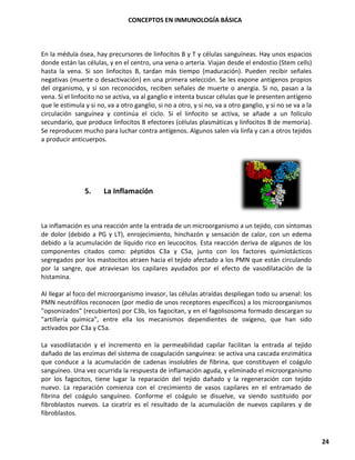 CONCEPTOS EN INMUNOLOGÍA BÁSICA
24
En la médula ósea, hay precursores de linfocitos B y T y células sanguíneas. Hay unos espacios
donde están las células, y en el centro, una vena o arteria. Viajan desde el endostio (Stem cells)
hasta la vena. Si son linfocitos B, tardan más tiempo (maduración). Pueden recibir señales
negativas (muerte o desactivación) en una primera selección. Se les expone antígenos propios
del organismo, y si son reconocidos, reciben señales de muerte o anergia. Si no, pasan a la
vena. Si el linfocito no se activa, va al ganglio e intenta buscar células que le presenten antígeno
que le estimula y si no, va a otro ganglio, si no a otro, y si no, va a otro ganglio, y si no se va a la
circulación sanguínea y continúa el ciclo. Si el linfocito se activa, se añade a un folículo
secundario, que produce linfocitos B efectores (células plasmáticas y linfocitos B de memoria).
Se reproducen mucho para luchar contra antígenos. Algunos salen vía linfa y can a otros tejidos
a producir anticuerpos.
5. La Inflamación
La inflamación es una reacción ante la entrada de un microorganismo a un tejido, con síntomas
de dolor (debido a PG y LT), enrojecimiento, hinchazón y sensación de calor, con un edema
debido a la acumulación de líquido rico en leucocitos. Esta reacción deriva de algunos de los
componentes citados como: péptidos C3a y C5a, junto con los factores quimiotácticos
segregados por los mastocitos atraen hacia el tejido afectado a los PMN que están circulando
por la sangre, que atraviesan los capilares ayudados por el efecto de vasodilatación de la
histamina.
Al llegar al foco del microorganismo invasor, las células atraídas despliegan todo su arsenal: los
PMN neutrófilos reconocen (por medio de unos receptores específicos) a los microorganismos
"opsonizados" (recubiertos) por C3b, los fagocitan, y en el fagolisosoma formado descargan su
"artillería química", entre ella los mecanismos dependientes de oxígeno, que han sido
activados por C3a y C5a.
La vasodilatación y el incremento en la permeabilidad capilar facilitan la entrada al tejido
dañado de las enzimas del sistema de coagulación sanguínea: se activa una cascada enzimática
que conduce a la acumulación de cadenas insolubles de fibrina, que constituyen el coágulo
sanguíneo. Una vez ocurrida la respuesta de inflamación aguda, y eliminado el microorganismo
por los fagocitos, tiene lugar la reparación del tejido dañado y la regeneración con tejido
nuevo. La reparación comienza con el crecimiento de vasos capilares en el entramado de
fibrina del coágulo sanguíneo. Conforme el coágulo se disuelve, va siendo sustituido por
fibroblastos nuevos. La cicatriz es el resultado de la acumulación de nuevos capilares y de
fibroblastos.
 