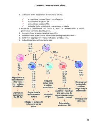 CONCEPTOS EN INMUNOLOGÍA BÁSICA
44
1. Activación de los mecanismos de inmunidad natural:
✓ activación de los macrófagos y otros fagocitos
✓ activación de las células NK
✓ activación de los eosinófilos
✓ inducción de las proteínas de fase aguda en el hígado
2. Activación y proliferación de células B, hasta su diferenciación a células
plasmáticas secretoras de anticuerpos.
3. Intervención en la respuesta celular específica.
4. Intervención en la reacción de inflamación, tanto aguda como crónica.
5. Control de los procesos hematopoyéticos de la médula ósea.
6. Inducción de la curación de las heridas.
 