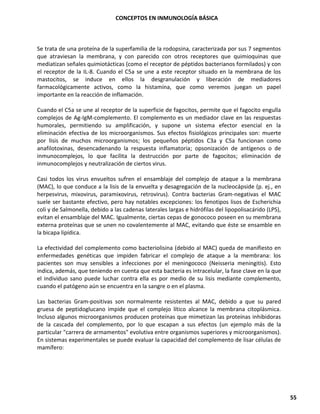 CONCEPTOS EN INMUNOLOGÍA BÁSICA
55
Se trata de una proteína de la superfamilia de la rodopsina, caracterizada por sus 7 segmentos
que atraviesan la membrana, y con parecido con otros receptores que quimioquinas que
mediatizan señales quimiotácticas (como el receptor de péptidos bacterianos formilados) y con
el receptor de la IL-8. Cuando el C5a se une a este receptor situado en la membrana de los
mastocitos, se induce en ellos la desgranulación y liberación de mediadores
farmacológicamente activos, como la histamina, que como veremos juegan un papel
importante en la reacción de inflamación.
Cuando el C5a se une al receptor de la superficie de fagocitos, permite que el fagocito engulla
complejos de Ag-IgM-complemento. El complemento es un mediador clave en las respuestas
humorales, permitiendo su amplificación, y supone un sistema efector esencial en la
eliminación efectiva de los microorganismos. Sus efectos fisiológicos principales son: muerte
por lisis de muchos microorganismos; los pequeños péptidos C3a y C5a funcionan como
anafilotoxinas, desencadenando la respuesta inflamatoria; opsonización de antígenos o de
inmunocomplejos, lo que facilita la destrucción por parte de fagocitos; eliminación de
inmunocomplejos y neutralización de ciertos virus.
Casi todos los virus envueltos sufren el ensamblaje del complejo de ataque a la membrana
(MAC), lo que conduce a la lisis de la envuelta y desagregación de la nucleocápside (p. ej., en
herpesvirus, mixovirus, paramixovirus, retrovirus). Contra bacterias Gram-negativas el MAC
suele ser bastante efectivo, pero hay notables excepciones: los fenotipos lisos de Escherichia
coli y de Salmonella, debido a las cadenas laterales largas e hidrófilas del lipopolisacárido (LPS),
evitan el ensamblaje del MAC. Igualmente, ciertas cepas de gonococo poseen en su membrana
externa proteínas que se unen no covalentemente al MAC, evitando que éste se ensamble en
la bicapa lipídica.
La efectividad del complemento como bacteriolisina (debido al MAC) queda de manifiesto en
enfermedades genéticas que impiden fabricar el complejo de ataque a la membrana: los
pacientes son muy sensibles a infecciones por el meningococo (Neisseria meningitis). Esto
indica, además, que teniendo en cuenta que esta bacteria es intracelular, la fase clave en la que
el individuo sano puede luchar contra ella es por medio de su lisis mediante complemento,
cuando el patógeno aún se encuentra en la sangre o en el plasma.
Las bacterias Gram-positivas son normalmente resistentes al MAC, debido a que su pared
gruesa de peptidoglucano impide que el complejo lítico alcance la membrana citoplásmica.
Incluso algunos microorganismos producen proteínas que mimetizan las proteínas inhibidoras
de la cascada del complemento, por lo que escapan a sus efectos (un ejemplo más de la
particular "carrera de armamentos" evolutiva entre organismos superiores y microorganismos).
En sistemas experimentales se puede evaluar la capacidad del complemento de lisar células de
mamífero:
 