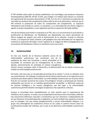 CONCEPTOS EN INMUNOLOGÍA BÁSICA
59
El TNF también actúa sobre las células endoteliales y los macrófagos, que producen citoquinas
hematopoyéticas (GM-CSF, M-CSF, G-CSF), que al llegar a la médula ósea inducen un aumento
de la generación de leucocitos (leucocitosis). El TNF, la IL-6 y la IL-1 estimulan la producción de
casi todas las proteínas del complemento (sobre todo las de la vía alternativa), mientras que el
IFN estimula la producción de todos los componentes del complemento. La respuesta
inflamatoria está limitada en cuanto a su duración y a su intensidad (de otra forma, llegaría a
agredir al propio hospedador), y esta regulación permite la reparación del tejido dañado.
Uno de los factores que limitan la respuesta es el TGF, que a su vez promueve la acumulación y
proliferación de fibroblastos. Los fibroblastos van depositando una matriz extracelular de
fibrina (coágulo de sangre), que evita la diseminación de la infección. Cuando la infección
remite, y la mayoría de restos celulares y del patógeno han sido eliminados por los fagocitos,
comienza la reparación del tejido: crecen capilares en el coágulo de fibrina (angiogénesis) y la
acumulación de fibroblastos y fibrina se manifiesta como una cicatriz.
11. Autoinmunidad
Se hizo una revisión de la literatura existente acerca de las
enfermedades autoinmunes que constituyen uno de los
problemas de salud más frecuentes y menos entendidos en la
actualidad. Se corroboró que las investigaciones de la última
década, particularmente las realizadas en ratones transgénicos,
ofrecen nuevos conceptos sobre el desarrollo y la diferenciación de las células inmunes que
median las enfermedades autoinmunes.
De hecho, está claro que un considerable porcentaje de las células T y B de un individuo sano
son autorreactivas. Sin embargo, la existencia de las células autoinmunes en el organismo no es
suficiente para desencadenar enfermedad. Las enfermedades autoinmunes son el punto clínico
final de una cascada secuencial de sucesos inmunológicos iniciada y perpetuada por factores
ambientales que ocurren en un individuo genéticamente susceptible. La definición exacta de
los factores etiológicos y los sucesos patogénicos que dan lugar a las enfermedades
autoinmunes permitirá diseñar estrategias terapéuticas más específicas y eficaces.
Aunque la inmunidad tiene indudablemente un valor positivo para la supervivencia del
individuo y de la especie, no existe una correspondencia biunívoca entre inmunidad y defensa:
hay mecanismos defensivos naturales o constitutivos que son anteriores o independientes de
los que llamamos inmunidad adquirida o adaptativa, así como también hay respuestas inmunes
que no protegen, sino que actúan patogénicamente y causan enfermedades alérgicas y un
grupo muy heterogéneo de condiciones clínicas en las cuales el sistema inmune ataca los
constituyentes propios del individuo, por lo que se les denomina enfermedades autoinmunes
(EA).
 