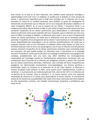 CONCEPTOS EN INMUNOLOGÍA BÁSICA
66
Este vínculo no es sólo en el nivel molecular, sino también existe asociación serológica y
epidemiológica entre este virus y la diabetes. Es posible que la diabetes se inicie porque las
células T autoinmunes específicas para la GAD sean activadas por la infección con el virus
Coxsackie en virtud de su similitud secuencial, pero también un grupo de investigación ha
demostrado recientemente que la infección con el virus Coxsackie B4 produce diabetes en el
ratón transgénico BDC2.5, en el cual la mayoría de sus células T reaccionan frente a un
antígeno pancreático natural distinto al GAD, lo que señala la importancia del mecanismo de la
activación inespecífica de las células autoinmunes para desencadenar la enfermedad. Este
efecto resultó hasta cierto punto específico del virus Coxsackie, pues la infección con otro virus
como el LMCV no produjo la diabetes. La diferencia entre estos 2 virus es que el Coxsackie B4
infecta las células pancreáticas, de modo que la inflamación local que lo acompaña podría
perturbar el equilibrio inmunorregulatorio de las células T autorreactivas en la vecindad (por la
mayor disponibilidad del autoantígeno y de las citocinas proinflamatorias). De modo que la
supuesta conexión entre el virus Coxsackie y la diabetes podría estar basada no tanto en la
similitud molecular entre el virus y los autoantígenos, sino en que la infección viral del páncreas
provoca activación inespecífica de las células autoinmunes existentes, pero controladas hasta
ese momento. ¿En qué medida pueden ser relevantes estos 2 mecanismos en la patología
humana? Teniendo en cuenta que las EA tienen una etiología multifactorial y una patogenia tan
compleja, probablemente será una tarea muy difícil identificar los microorganismos
responsables por homología cuando las manifestaciones autoinmunes constituyen solo una
complicación poco frecuente de la infección por patógenos comunes y parece más verosímil
que las células autoinmunes dormidas, inofensivas, sean activadas de forma inespecífica por
patógenos con determinadas características inmunopatológicas. Los factores genéticos y
ambientales actúan en conjunto en el desarrollo de las EA. Estos factores se adicionan a
manera de golpes hasta producir el daño, como puede ocurrir hipotéticamente cuando se
combinan: 1. la presencia de una molécula particular HLA, como la HLA- B27; 2. la infección con
un germen de las mucosas, como la clamidia y 3. un suceso azaroso, como una respuesta
exacerbada de citocinas en el sinovio, para desencadenar la artritis reactiva. El conocimiento
exacto de los factores de susceptibilidad y del modo como estos interactúan permitirá elaborar
no sólo tratamientos curativos, sino también intervenciones tempranas y profilácticas para
evitar las EA.
 