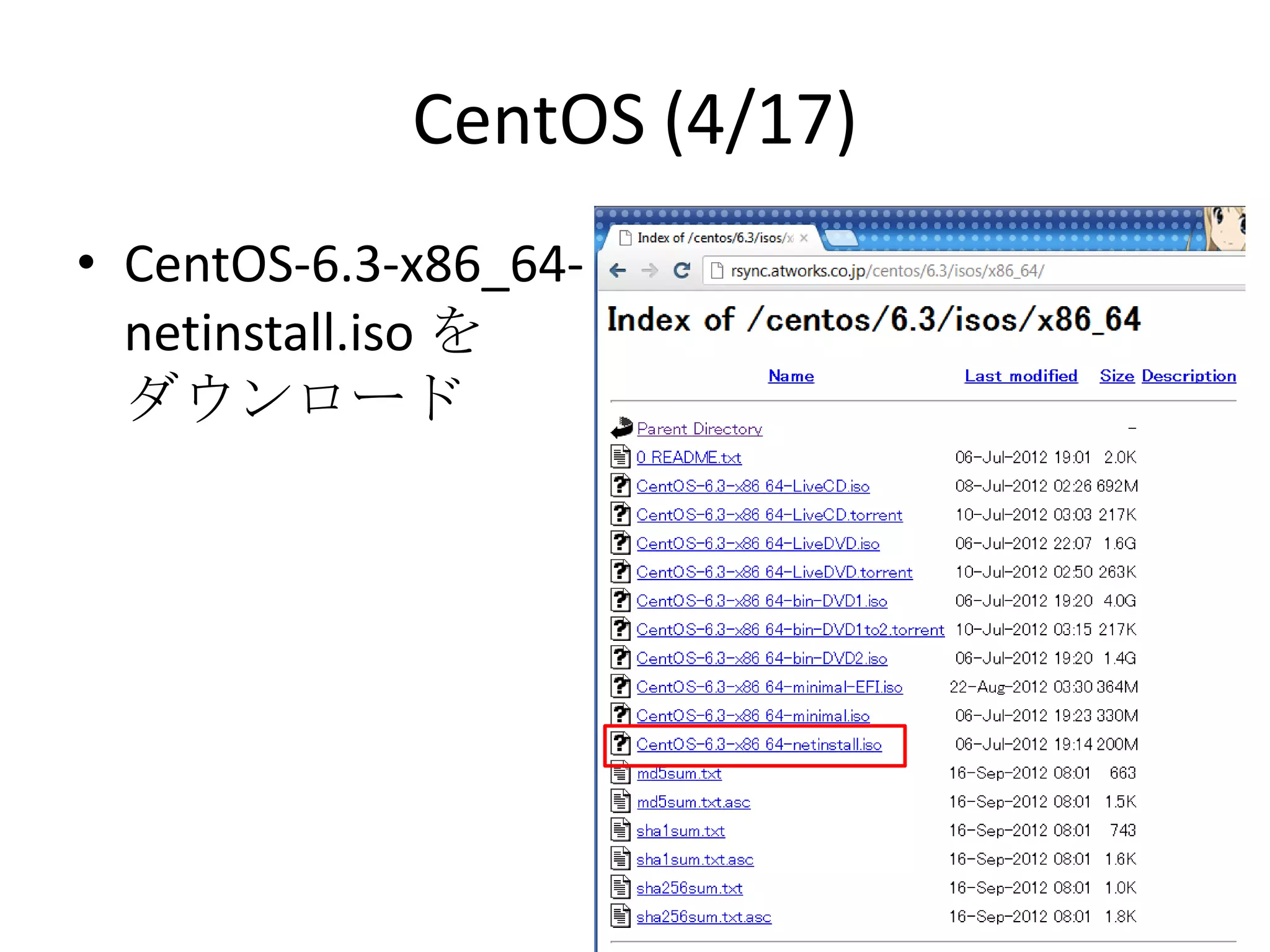 CentOS (4/17)
• CentOS-6.3-x86_64-
  netinstall.iso を
  ダウンロード
 