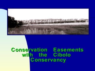 Conservation EasementsConservation Easements
with the Cibolowith the Cibolo
ConservancyConservancy
 