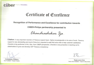 Ciber Certificate Of Excellence2