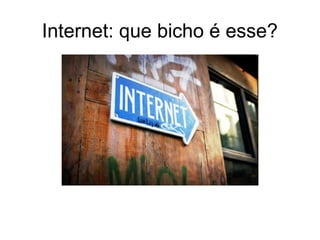 Internet: que bicho é esse?
 