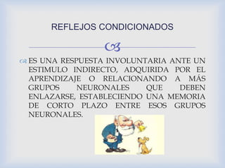 
 ES UNA RESPUESTA INVOLUNTARIA ANTE UN
ESTIMULO INDIRECTO, ADQUIRIDA POR EL
APRENDIZAJE O RELACIONANDO A MÁS
GRUPOS NEURONALES QUE DEBEN
ENLAZARSE, ESTABLECIENDO UNA MEMORIA
DE CORTO PLAZO ENTRE ESOS GRUPOS
NEURONALES.
REFLEJOS CONDICIONADOS
 