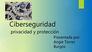 Ciberseguridad
privacidad y protección
Presentada por:
Angie Torres
Burgos
 