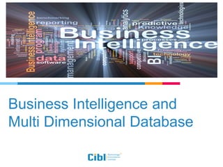 Business Intelligence and
Multi Dimensional Database
 