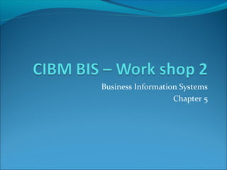 Business Information Systems
                   Chapter 5
 