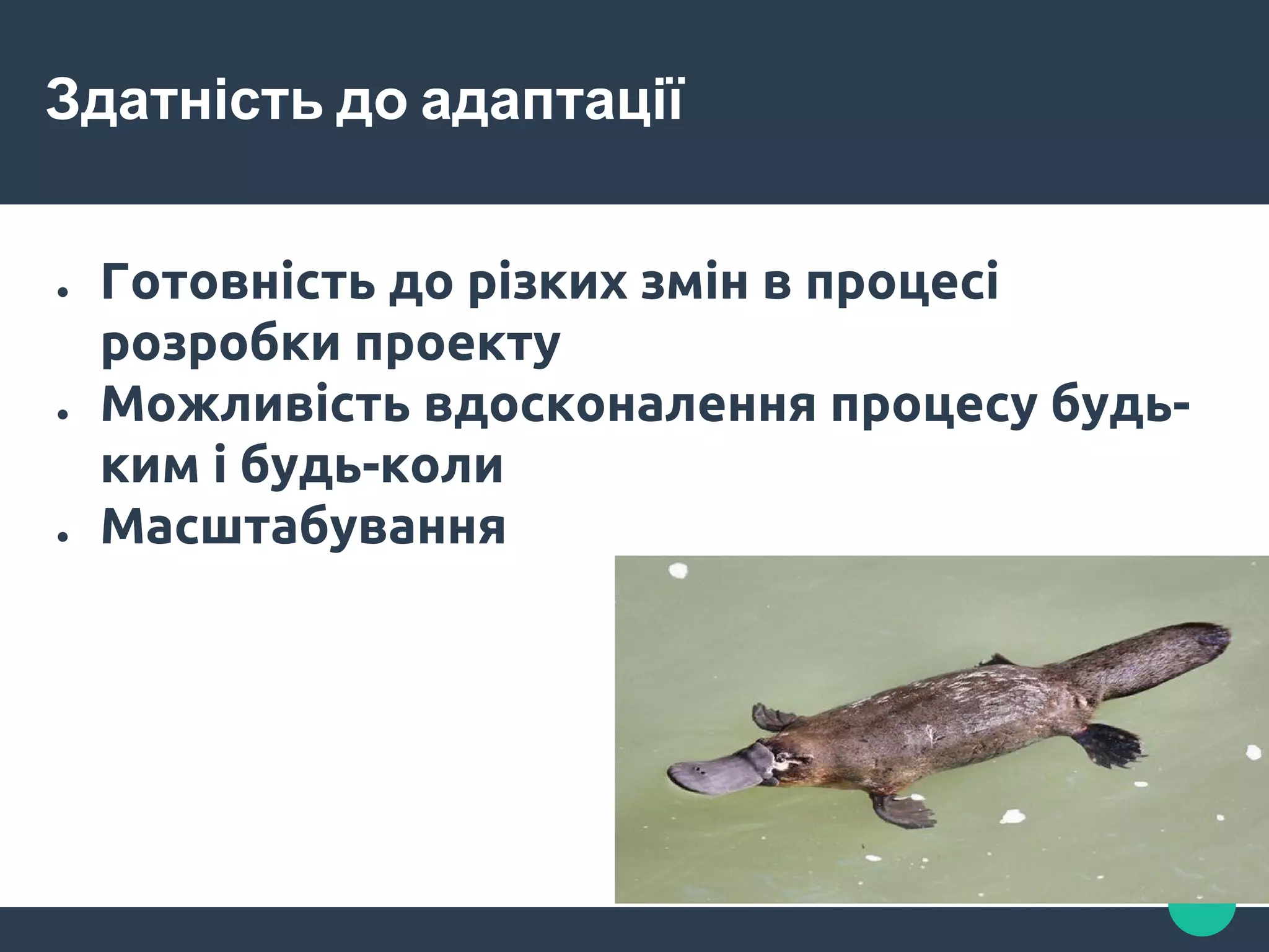 Здатність до адаптації
● Готовність до різких змін в процесі
розробки проекту
● Можливість вдосконалення процесу будь-
ким і будь-коли
● Масштабування
 