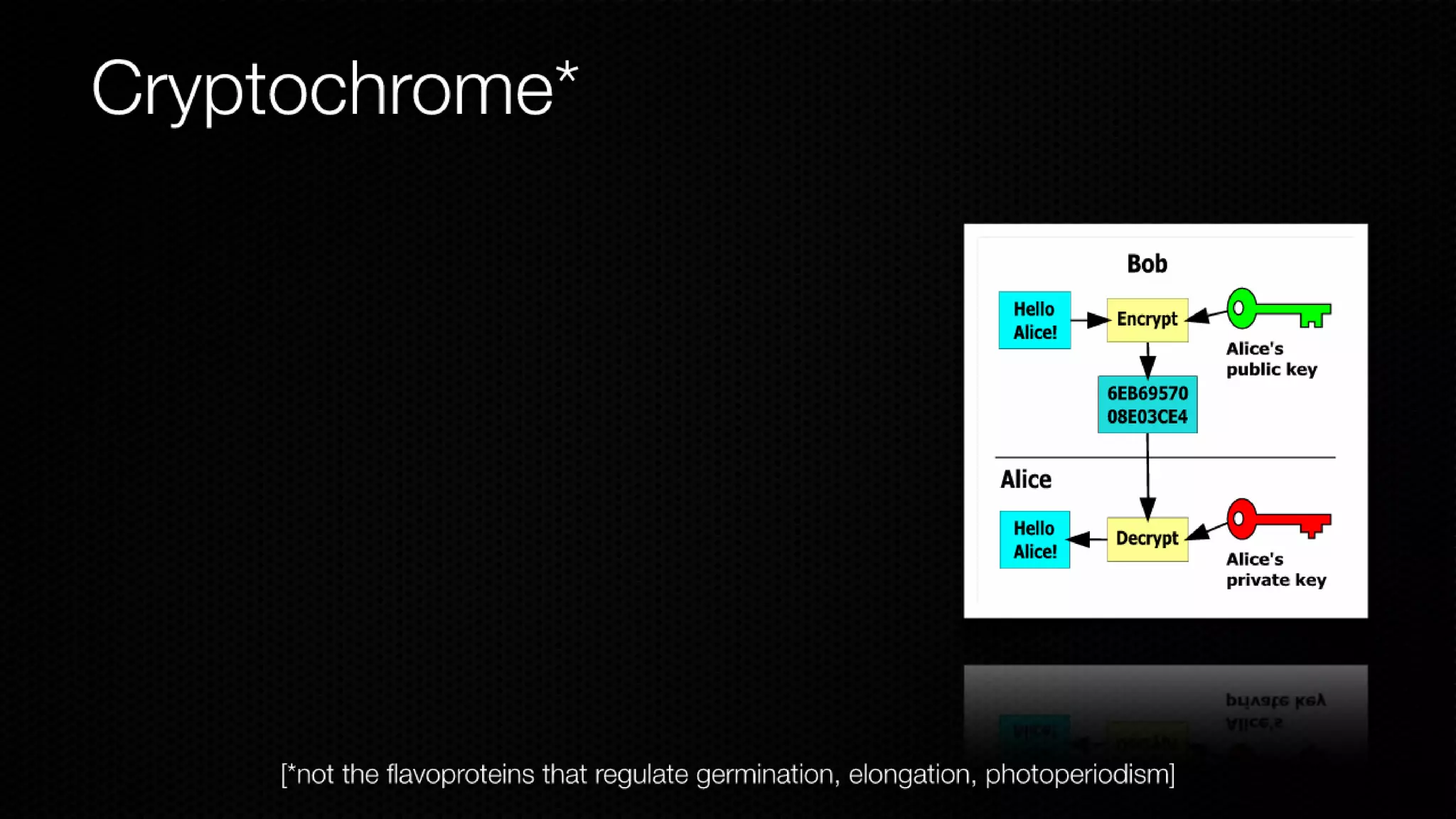 Color Scrambling for Secure Digital Content Distribution