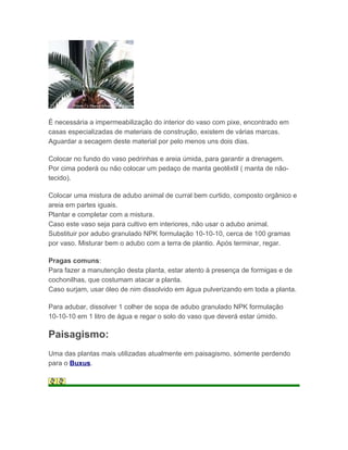 É necessária a impermeabilização do interior do vaso com pixe, encontrado em
casas especializadas de materiais de construção, existem de várias marcas.
Aguardar a secagem deste material por pelo menos uns dois dias.

Colocar no fundo do vaso pedrinhas e areia úmida, para garantir a drenagem.
Por cima poderá ou não colocar um pedaço de manta geotêxtil ( manta de não-
tecido).

Colocar uma mistura de adubo animal de curral bem curtido, composto orgânico e
areia em partes iguais.
Plantar e completar com a mistura.
Caso este vaso seja para cultivo em interiores, não usar o adubo animal.
Substituir por adubo granulado NPK formulação 10-10-10, cerca de 100 gramas
por vaso. Misturar bem o adubo com a terra de plantio. Após terminar, regar.

Pragas comuns:
Para fazer a manutenção desta planta, estar atento à presença de formigas e de
cochonilhas, que costumam atacar a planta.
Caso surjam, usar óleo de nim dissolvido em água pulverizando em toda a planta.

Para adubar, dissolver 1 colher de sopa de adubo granulado NPK formulação
10-10-10 em 1 litro de água e regar o solo do vaso que deverá estar úmido.

Paisagismo:
Uma das plantas mais utilizadas atualmente em paisagismo, sómente perdendo
para o Buxus.
 
