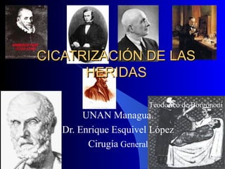CICATRIZACIÓN DE LASCICATRIZACIÓN DE LAS
HERIDASHERIDAS
UNAN Managua.
Dr. Enrique Esquivel López
Cirugía General
Teodorico de Borgononi
 
