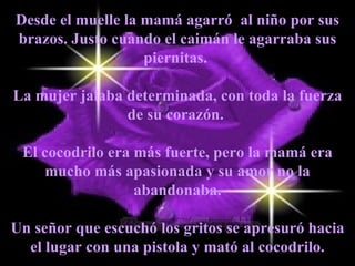 Desde el muelle la mamá agarró  al niño por sus brazos. Justo cuando el caimán le agarraba sus piernitas.  La mujer jalaba determinada, con toda la fuerza de su corazón.  El cocodrilo era más fuerte, pero la mamá era mucho más apasionada y su amor no la abandonaba. Un señor que escuchó los gritos se apresuró hacia el lugar con una pistola y mató al cocodrilo. 