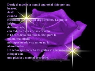 Desde el muelle la mamá agarró al niño por sus brazos. Justo cuando el caimán le agarraba sus piernitas. La mujer jalaba  determinada, con toda la fuerza de su corazón.  > El cocodrilo era más fuerte, pero la mamá era mucho más apasionada y su amor no la abandonaba. Un señor que escuchó los gritos se apresuró hacia el lugar con una pistola y mató al cocodrilo. 