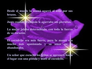 Desde el muelle la mamá agarró al niño por sus 
brazos. 
Justo cuando el caimán le agarraba sus piernitas. 
La mujer jalaba determinada, con toda la fuerza 
de su corazón. 
El cocodrilo era más fuerte, pero la mamá era 
mucho más apasionada y su amor no la 
abandonaba. 
Un señor que escuchó los gritos se apresuró hacia 
el lugar con una pistola y mató al cocodrilo. 
 