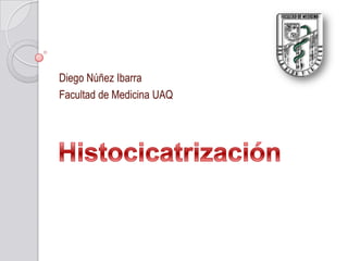 Diego Núñez Ibarra
Facultad de Medicina UAQ
 