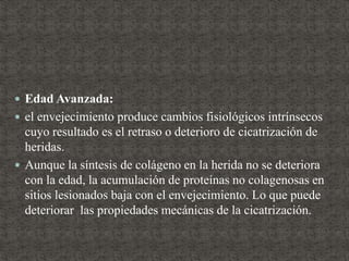  Edad Avanzada:
 el envejecimiento produce cambios fisiológicos intrínsecos
cuyo resultado es el retraso o deterioro de cicatrización de
heridas.
 Aunque la síntesis de colágeno en la herida no se deteriora
con la edad, la acumulación de proteínas no colagenosas en
sitios lesionados baja con el envejecimiento. Lo que puede
deteriorar las propiedades mecánicas de la cicatrización.
 
