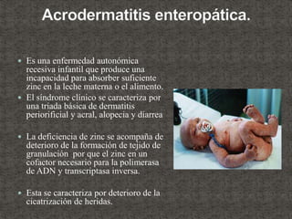  Es una enfermedad autonómica
recesiva infantil que produce una
incapacidad para absorber suficiente
zinc en la leche materna o el alimento.
 El síndrome clínico se caracteriza por
una tríada básica de dermatitis
periorificial y acral, alopecia y diarrea
 La deficiencia de zinc se acompaña de
deterioro de la formación de tejido de
granulación por que el zinc en un
cofactor necesario para la polimerasa
de ADN y transcriptasa inversa.
 Esta se caracteriza por deterioro de la
cicatrización de heridas.
 