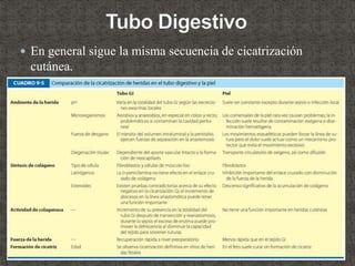  En general sigue la misma secuencia de cicatrización
cutánea.
 