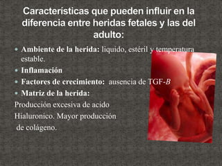  Ambiente de la herida: liquido, estéril y temperatura
estable.
 Inflamación
 Factores de crecimiento: ausencia de TGF-B
 Matriz de la herida:
Producción excesiva de acido
Hialuronico. Mayor producción
de colágeno.
 