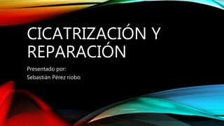 CICATRIZACIÓN Y
REPARACIÓN
Presentado por:
Sebastián Pérez riobo
 