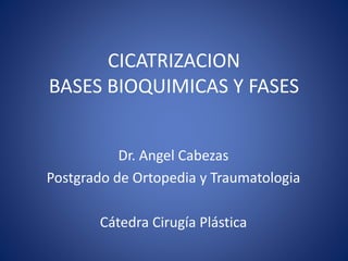 CICATRIZACION 
BASES BIOQUIMICAS Y FASES 
Dr. Angel Cabezas 
Postgrado de Ortopedia y Traumatologia 
Cátedra Cirugía Plástica 
 