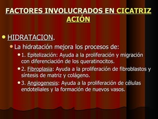 FACTORES INVOLUCRADOS EN  CICATRIZ ACIÓN HIDRATACION . La hidratación mejora los procesos de: 1. Epitelización: Ayuda a la proliferación y migración con diferenciación de los   queratinocitos. 2.  Fibroplasia : Ayuda a la proliferación de fibroblastos y síntesis de matriz y colágeno. 3.  Angiogenesis : Ayuda a la proliferación de células endoteliales y la formación de nuevos vasos. 