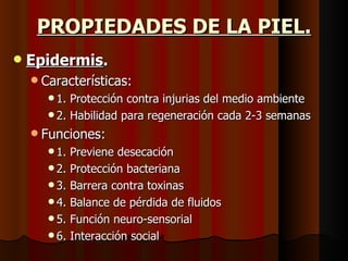 PROPIEDADES DE LA PIEL. Epidermis . Características: 1. Protección contra injurias del medio ambiente 2. Habilidad para regeneración cada 2-3 semanas Funciones: 1. Previene desecación 2. Protección bacteriana 3. Barrera contra toxinas 4. Balance de pérdida de fluidos 5. Función neuro-sensorial 6. Interacción social 