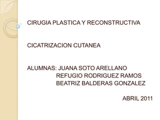 CIRUGIA PLASTICA Y RECONSTRUCTIVA CICATRIZACION CUTANEA ALUMNAS: JUANA SOTO ARELLANO                  REFUGIO RODRIGUEZ RAMOS                  BEATRIZ BALDERAS GONZALEZ ABRIL 2011 