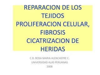 REPARACION DE LOS 
TEJIDOS 
PROLIFERACION CELULAR, 
FIBROSIS 
CICATRIZACION DE 
HERIDAS 
C.D. ROSA MARIA ALENCASTRE C. 
UNIVERSIDAD ALAS PERUANAS 
2008 
 