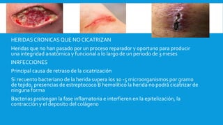 HERIDAS CRONICAS QUE NO CICATRIZAN
Heridas que no han pasado por un proceso reparador y oportuno para producir
una integridad anatómica y funcional a lo largo de un periodo de 3 meses
INRFECCIONES
Principal causa de retraso de la cicatrización
Si recuento bacteriano de la herida supera los 10 -5 microorganismos por gramo
de tejido, presencias de estreptococo B hemolítico la herida no podrá cicatrizar de
ninguna forma
Bacterias prolongan la fase inflamatoria e interfieren en la epitelización, la
contracción y el deposito del colágeno
 