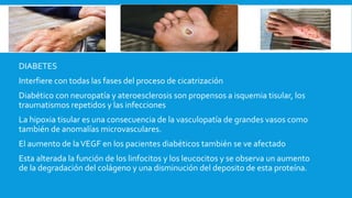 DIABETES
Interfiere con todas las fases del proceso de cicatrización
Diabético con neuropatía y ateroesclerosis son propensos a isquemia tisular, los
traumatismos repetidos y las infecciones
La hipoxia tisular es una consecuencia de la vasculopatía de grandes vasos como
también de anomalías microvasculares.
El aumento de laVEGF en los pacientes diabéticos también se ve afectado
Esta alterada la función de los linfocitos y los leucocitos y se observa un aumento
de la degradación del colágeno y una disminución del deposito de esta proteína.
 