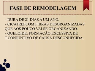 FASE DE REMODELAGEM
l- DURA DE 21 DIAS A UM ANO.
l- CICATRIZ COM FIBRAS DESORGANIZADAS
QUE AOS POUCO VAI SE ORGANIZANDO.
l- QUELÓIDE: FORMAÇÃO EXCESSIVA DE
T.CONJUNTIVO DE CAUSA DESCONHECIDA.
 