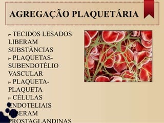 AGREGAÇÃO PLAQUETÁRIA
l- TECIDOS LESADOS
LIBERAM
SUBSTÃNCIAS
l- PLAQUETAS-
SUBENDOTÉLIO
VASCULAR
l- PLAQUETA-
PLAQUETA
l- CÉLULAS
ENDOTELIAIS
LIBERAM
 