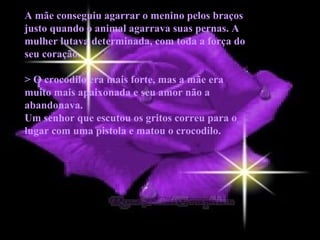 A mãe conseguiu agarrar o menino pelos braços justo quando o animal agarrava suas pernas. A mulher lutava determinada, com toda a força do seu coração.  > O crocodilo era mais forte, mas a mãe era muito mais apaixonada e seu amor não a abandonava. Um senhor que escutou os gritos correu para o lugar com uma pistola e matou o crocodilo. 