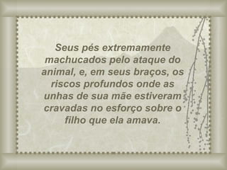 Seus pés extremamente machucados pelo ataque do animal, e, em seus braços, os riscos profundos onde as unhas de sua mãe estiveram cravadas no esforço sobre o filho que ela amava. 